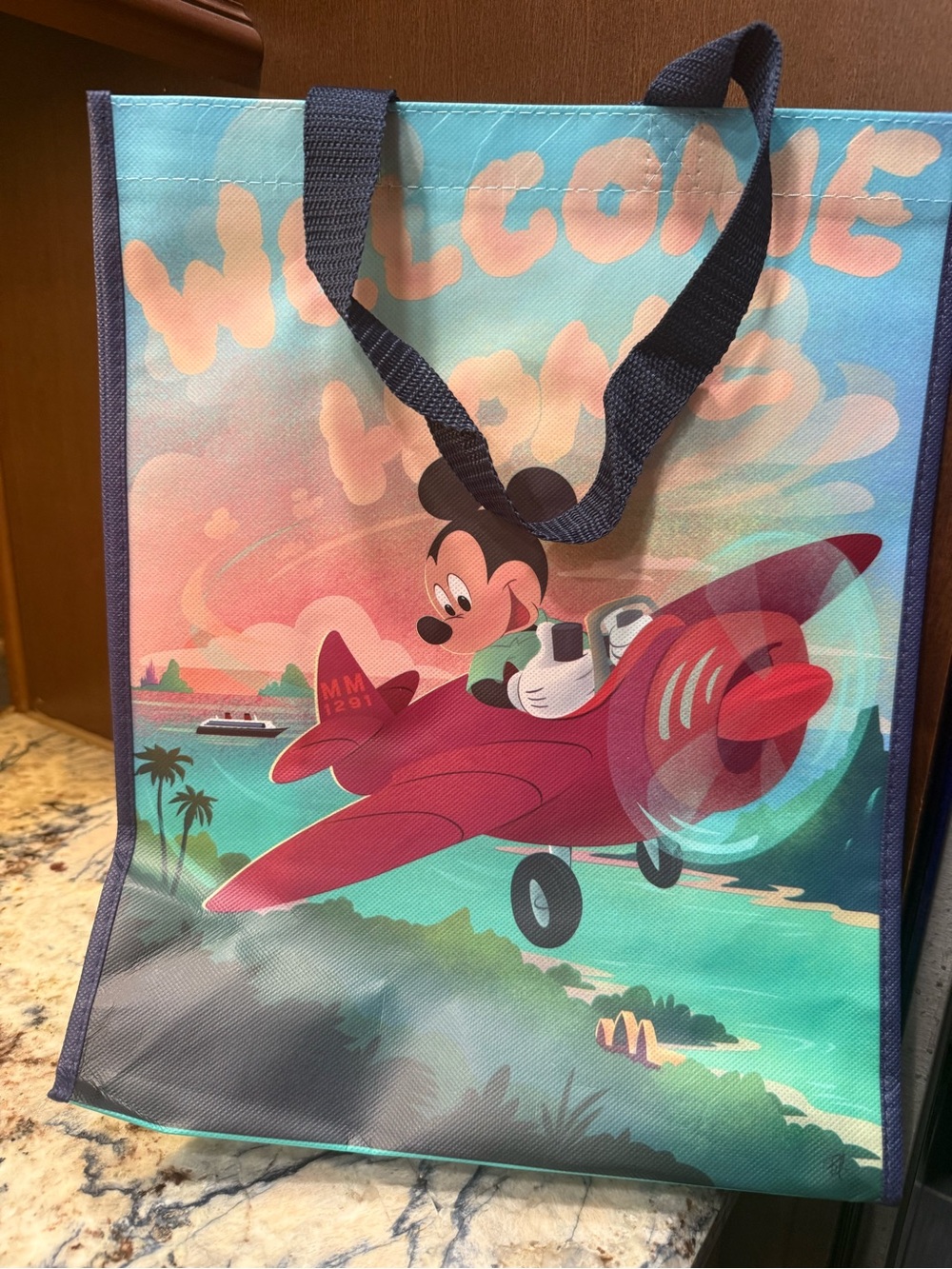 Disney Mickey Tote Bag Aulani Plane Welcome Home DVC Vacation Club 12 x 15 x 5.5
